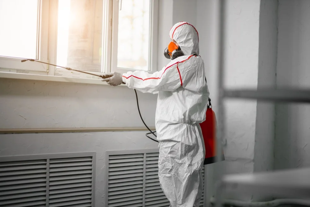 Professional mold remediation services in Ashland, AL